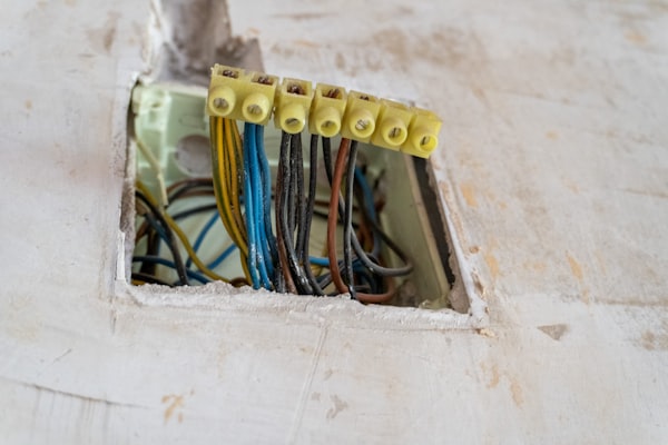 Electrical wires connected with terminal blocks